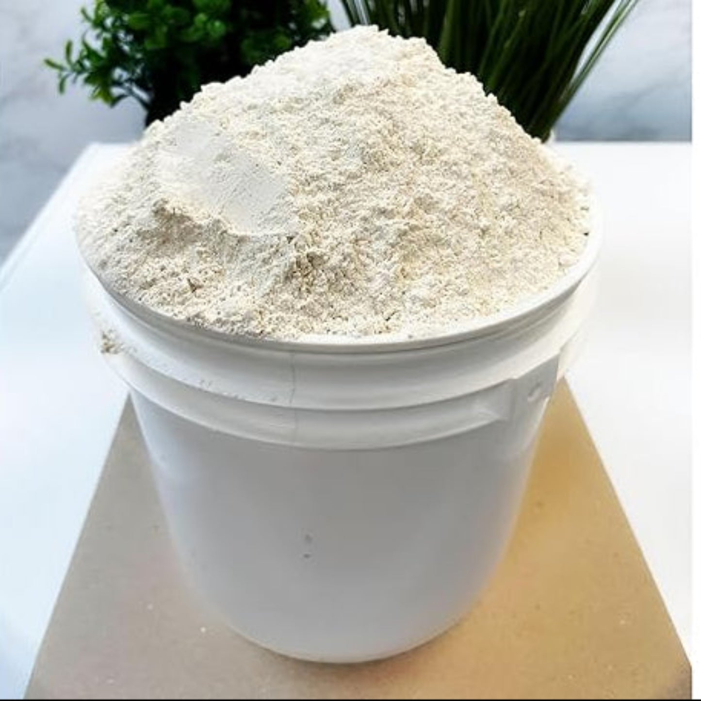 Beans Flour