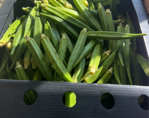 Fresh Okra Box