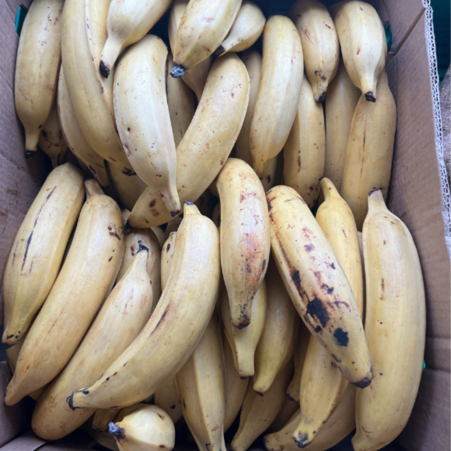 Ripe Plantain