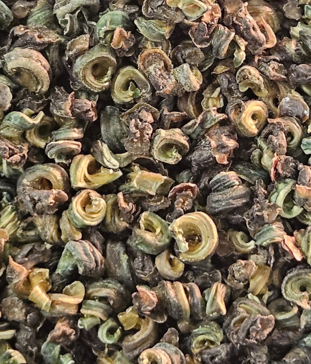 Dried Periwinkle 40g