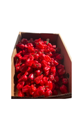 Fresh Pepper (Scotch Bonnet Box 3kg)