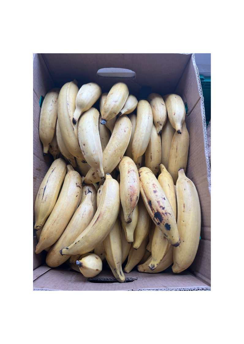 Ripe Plantain (Box)